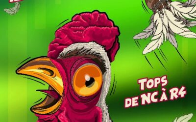 ASJ – BADMINTON – TOURNOI EN DECEMBRE