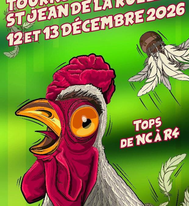 ASJ – BADMINTON – TOURNOI EN DECEMBRE